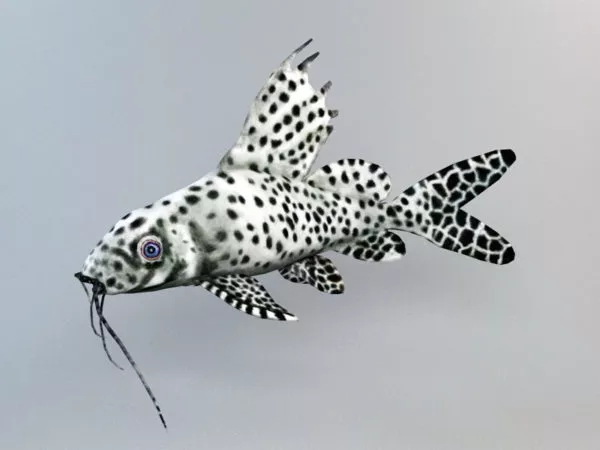 Catfish Animated Rig 3d model Catfish Animated Rig 3d model