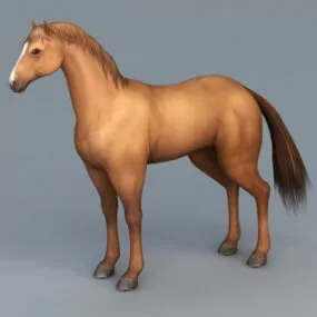 Chestnut Horse 3d model