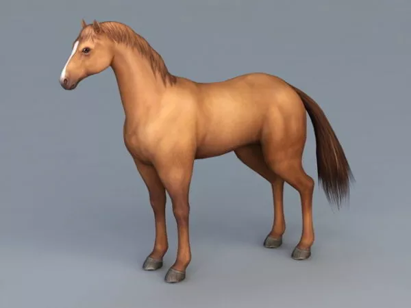 Chestnut Horse 3d model Chestnut Horse 3d model