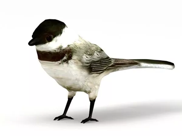 Animated Flying Crane 3d model