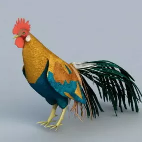Chicken Rooster 3d model