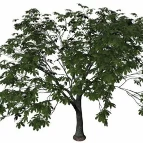 Chinese Chestnut Tree 3d model