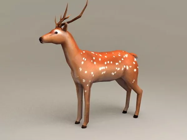 Chital Deer 3d model Chital Deer 3d model