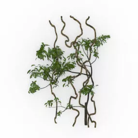 Climbing Vines 3d model