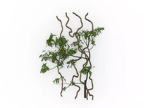 Climbing Vines 3d model Climbing Vines 3d model