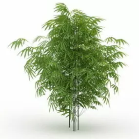 Clumping Bamboo Plants 3d model