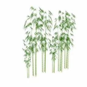Clustered Bamboo 3d model