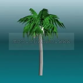 Cocoanut Trees 3d model