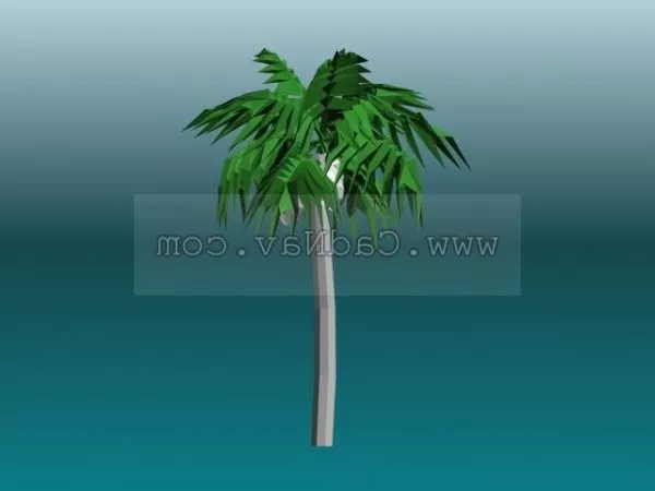 Cocoanut Trees 3d model Cocoanut Trees 3d model