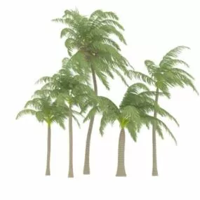 Coconut Palm Tree Collection 3d model