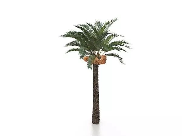 Lowpoly Palm Trees On Beach 3d model