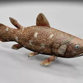 Coelacanth Fish 3d model