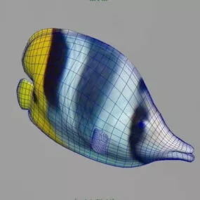 Colorful Tropical Fish 3d model