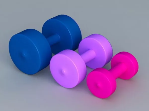 Colorful Weights 3d model Colorful Weights 3d model