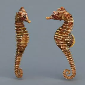 Common Seahorse Animal 3d model
