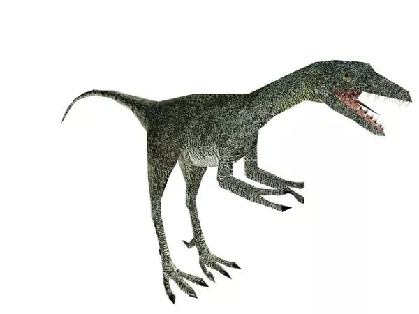 Pterosaur Dinosaur 3d model