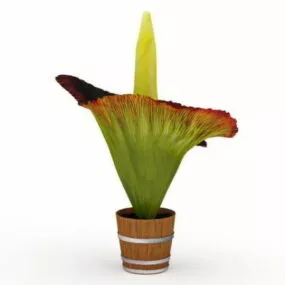 Corpse Flower 3d model