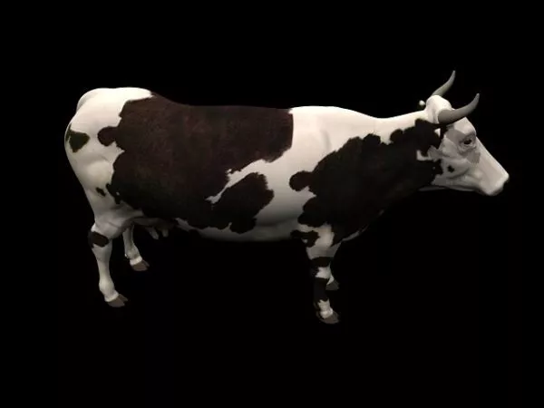 Cow Animal 3d model Cow Animal 3d model