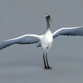 Crane Animal 3d model