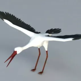 Crane Bird 3d model