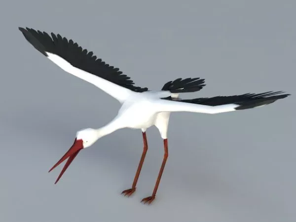 Tower Crane 3d model