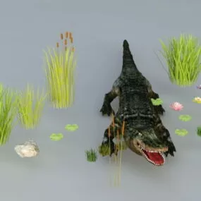 Crocodile In Pond 3d model