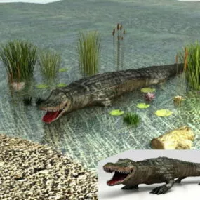 Wild Crocodile 3d model