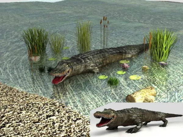 Crocodile Swamp Animal 3d model