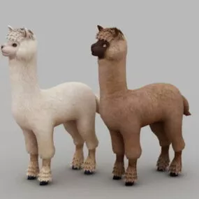 Cute Alpaca 3d model