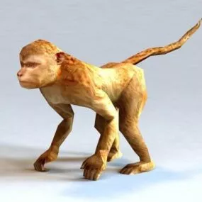 Cute Monkey 3d model