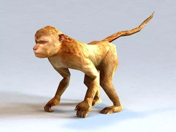 Cute Monkey 3d model Cute Monkey 3d model