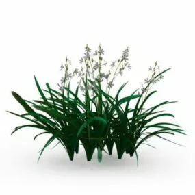 Cymbidium Orchid Plant 3d model