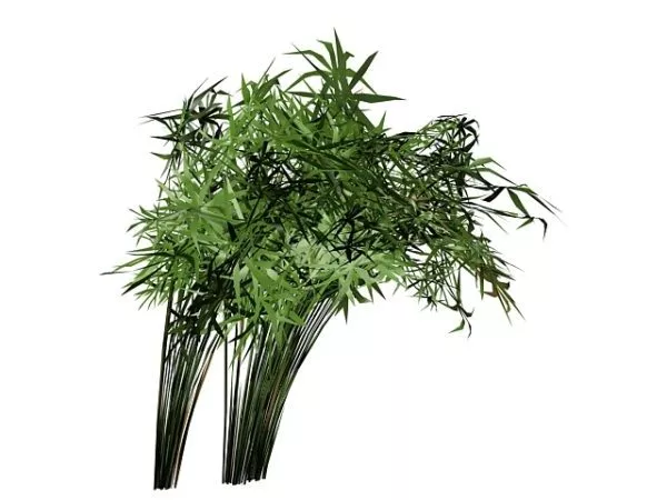 Garden Grass Pot Rectangular 3d model