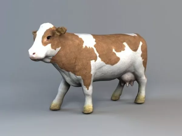 Dairy Cattle 3d model Dairy Cattle 3d model