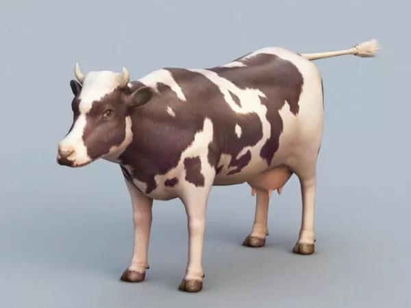 Dairy Cow 3d model Dairy Cow 3d model