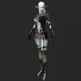 Dark Elf Female Character 3d model