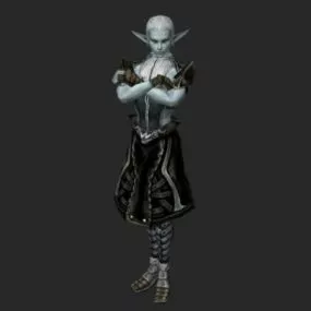 Dark Elf Male Character 3d model