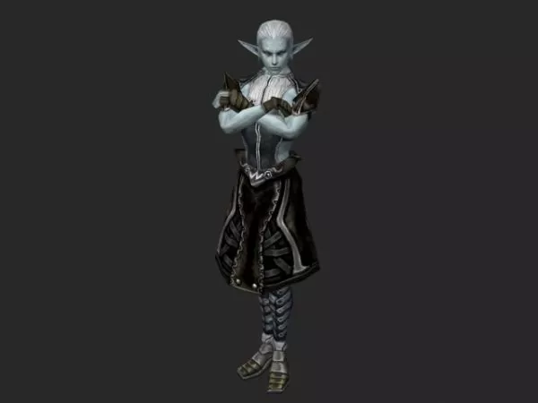 Dark Elf Male Character 3d model Dark Elf Male Character 3d model