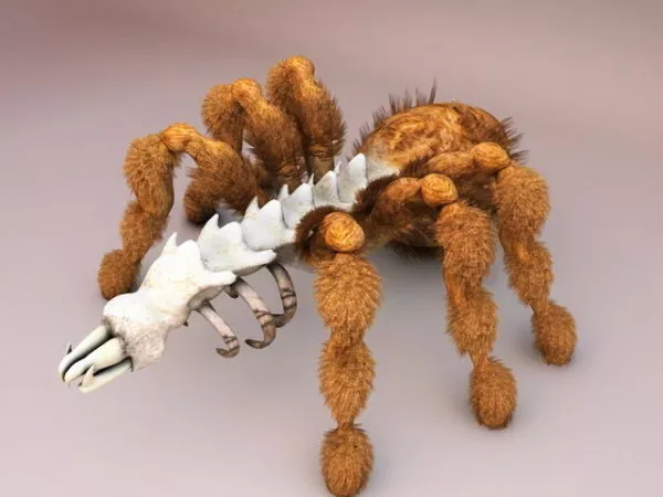 Dead Mother Spider 3d model Dead Mother Spider 3d model