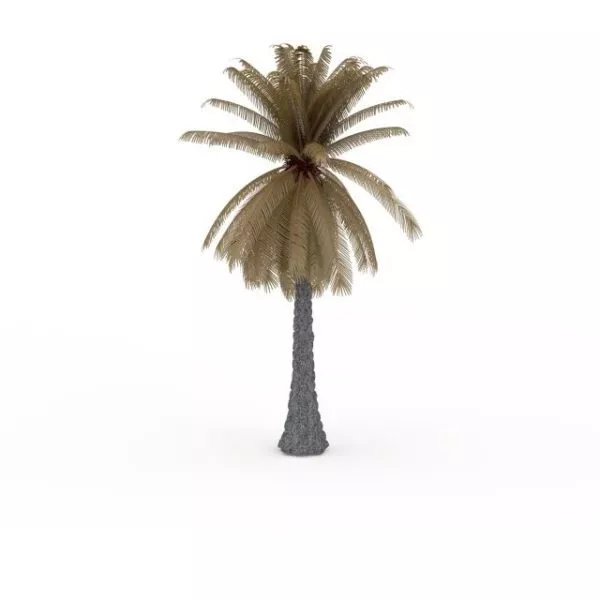 Dead Palm Tree 3d model Dead Palm Tree 3d model