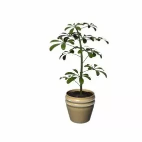 Decorative House Plant Pot 3d model