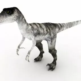 Deinonychus Dinosaur Animal 3d model