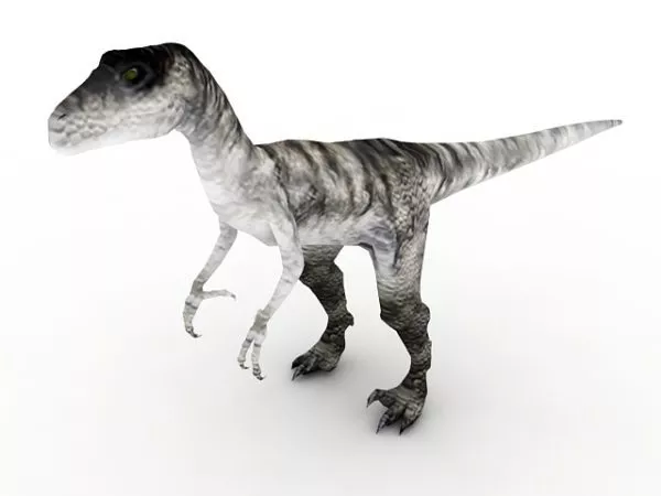 Deinonychus Dinosaur Animal 3d model Deinonychus Dinosaur Animal 3d model