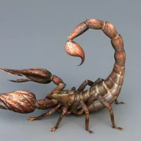 Desert Scorpion 3d model