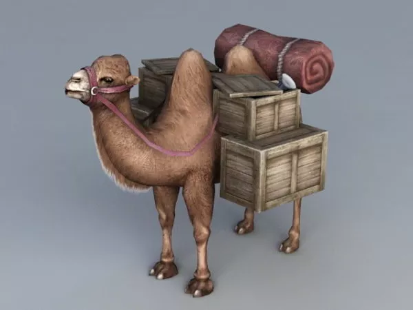 Desert Travel Camel 3d model Desert Travel Camel 3d model