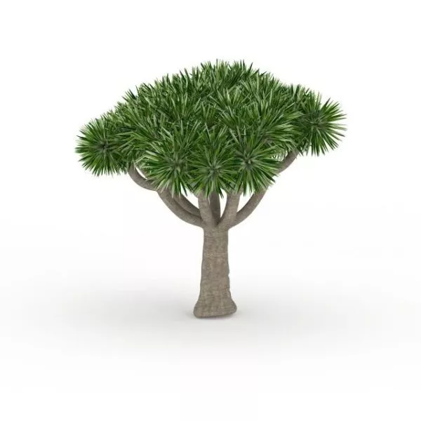 Lowpoly Palm Trees On Beach 3d model