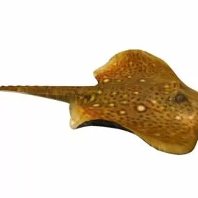 Sea Devil Fish 3d model
