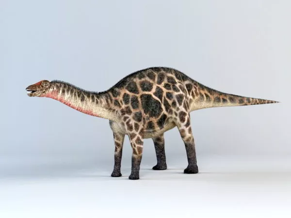 Dicraeosaurus Dinosaur 3d model Dicraeosaurus Dinosaur 3d model