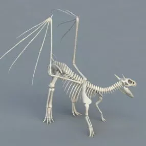 Dinosaur Skeleton 3d model
