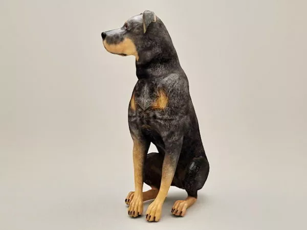 Doberman Pinscher Dog 3d model Doberman Pinscher Dog 3d model